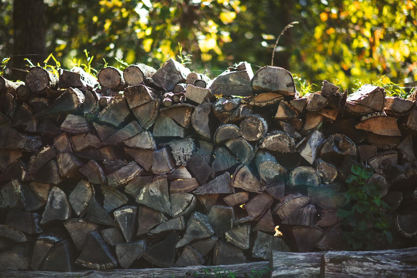Stacked forestry residue and firewood against a sunlit green forest, feedstock for clean fuel